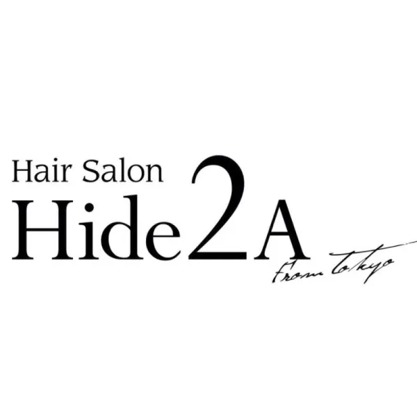 Hair Salon Hide 2A