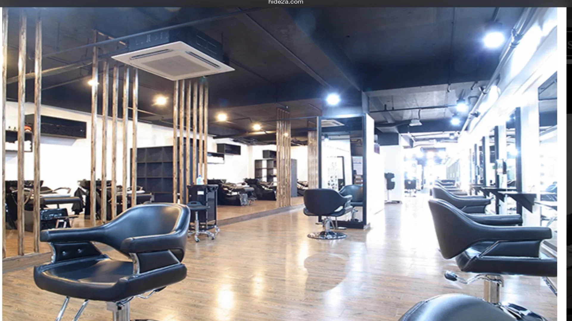 Hair Salon Hide 2A cover