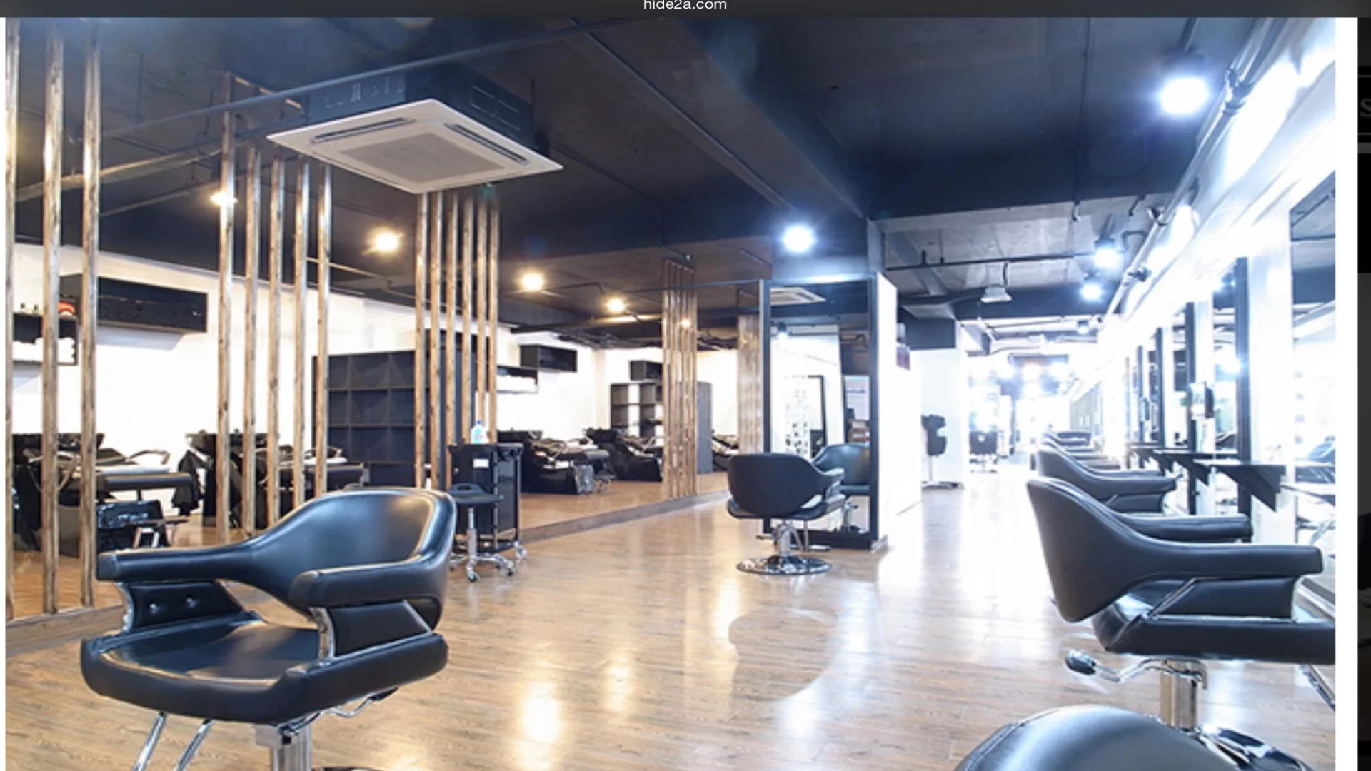 Hair Salon Hide 2A cover